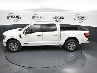 2021 Ford F-150 Platinum