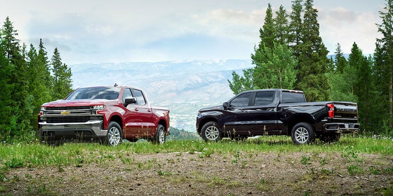 Two pickup trucks, one red and one black, on a grassy mountain overlook with pine trees and distant peaks.