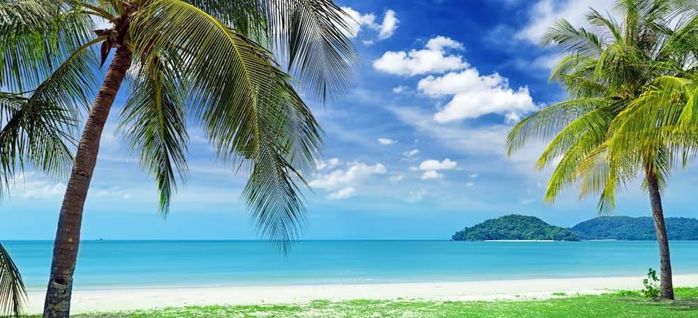 Palm trees framing tropical beach and ocean view