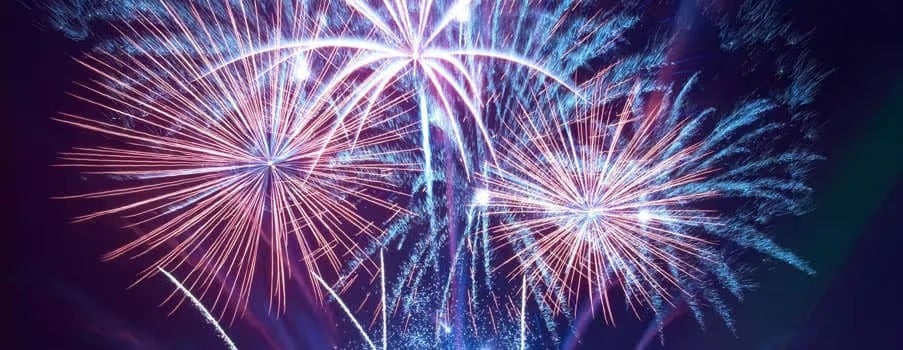 Fireworks exploding in the night sky