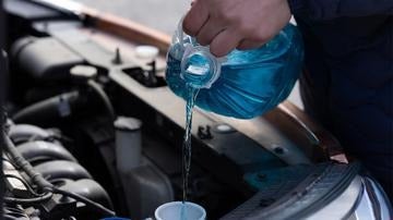 BG PREMIUM MAINTENANCE SERVICES NEAR PLANT CITY